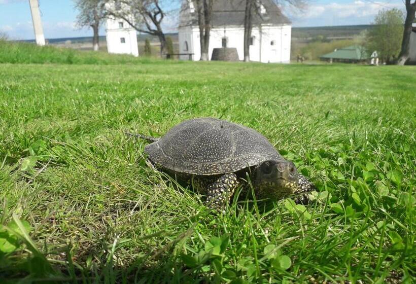스탠다드 룸, медова садиба