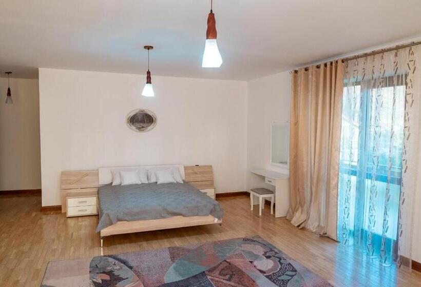 Номер Стандарт, Pensiunea Gui