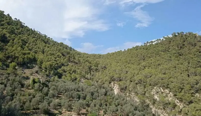 スタンダードルーム, Agriturismo Vecchio Frantoio