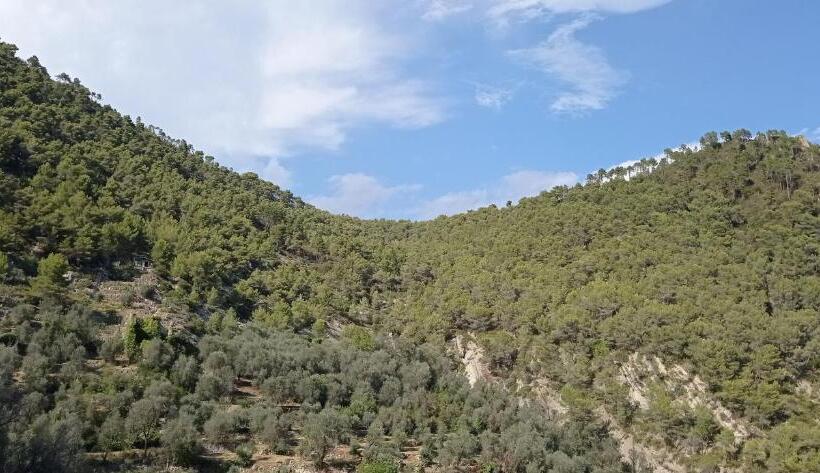 غرفة قياسية فردية, Agriturismo Vecchio Frantoio