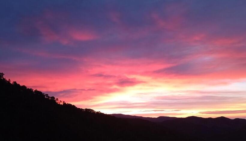 スタンダードシングルルーム, Agriturismo Vecchio Frantoio