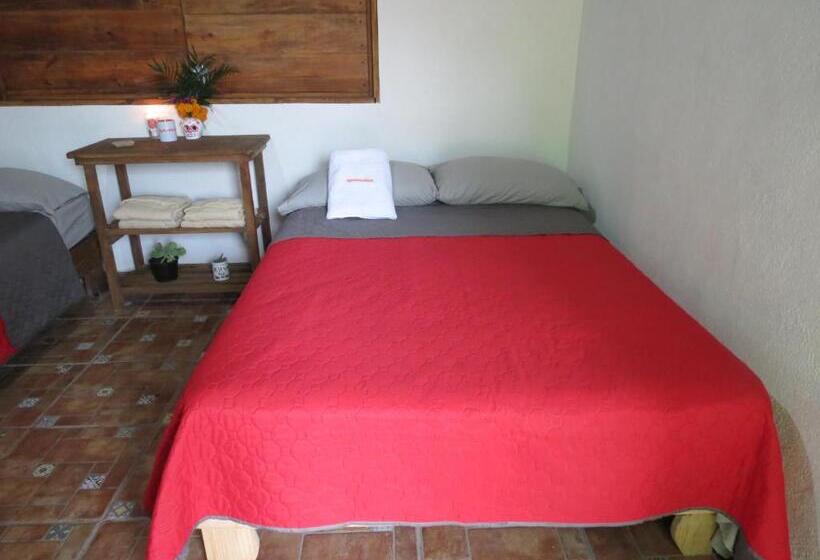 スーペリアールーム, Casa Verde Xilitla By Rotamundos