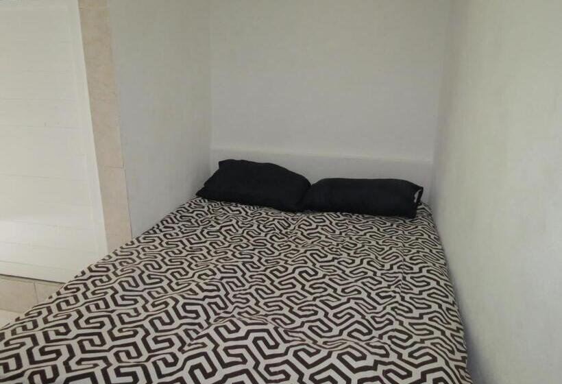 スタンダードスタジオ, Casa Verde Xilitla By Rotamundos