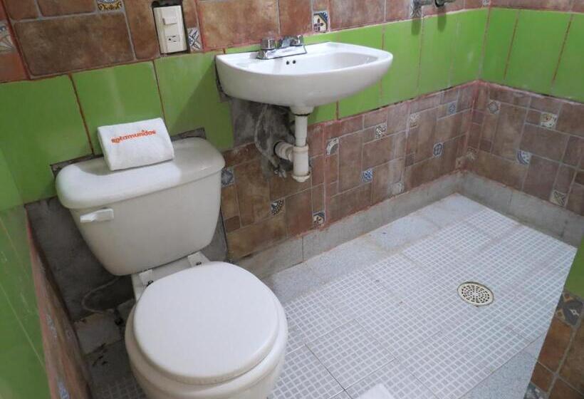 スタンダードルーム, Casa Verde Xilitla By Rotamundos