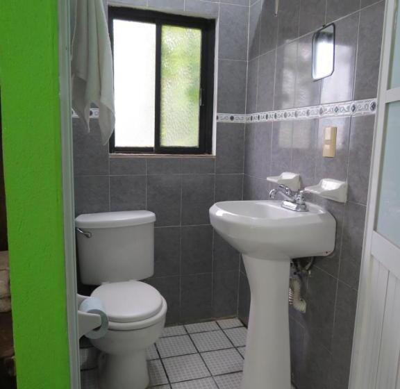 ガーデンビュースタンダードルーム, Casa Verde Xilitla By Rotamundos