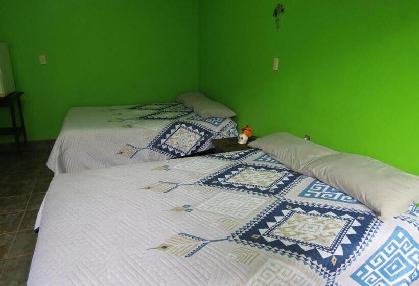 ガーデンビュースタンダードルーム, Casa Verde Xilitla By Rotamundos