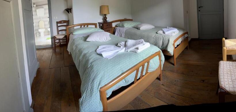 标准间, Coletti Pietro Snc