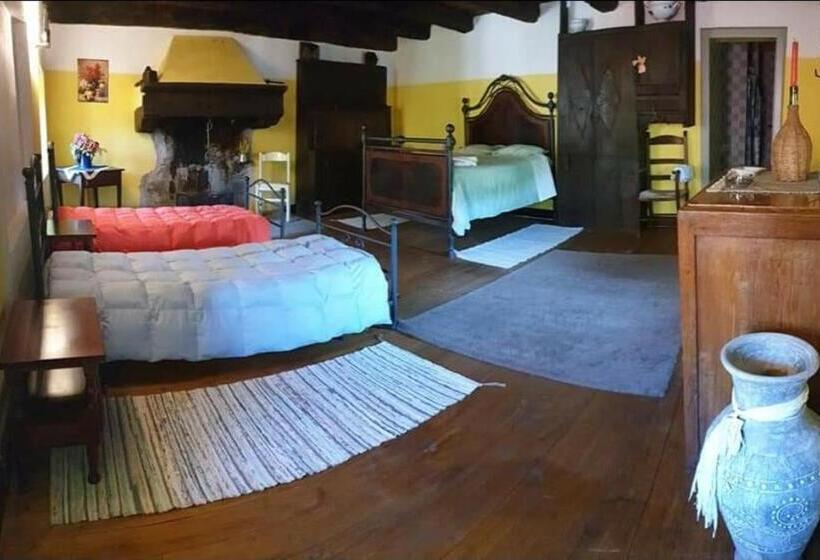 四人标准间, Coletti Pietro Snc