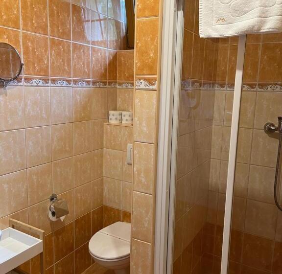 Номер Deluxe, Penzion Bawaria