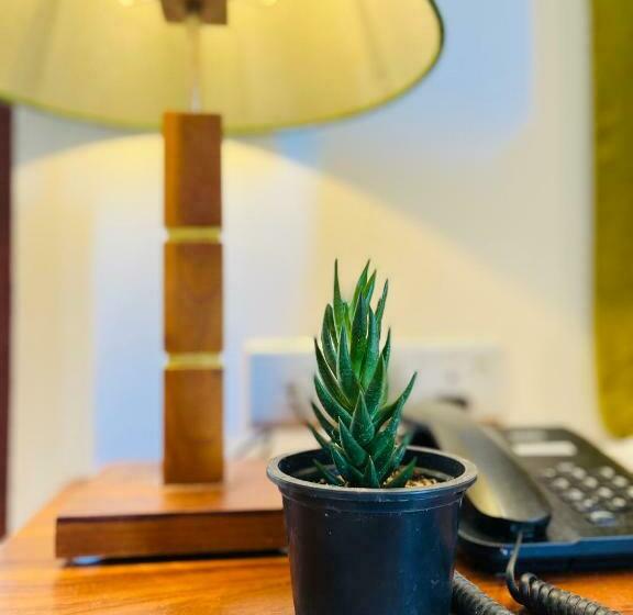 带2个卧室的套房, J Leaf Hotel By Blue Bird