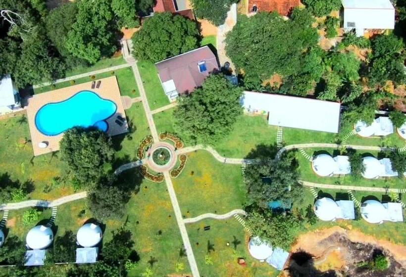 프레지덴셜 스위트, The Lion Kingdom Sigiriya