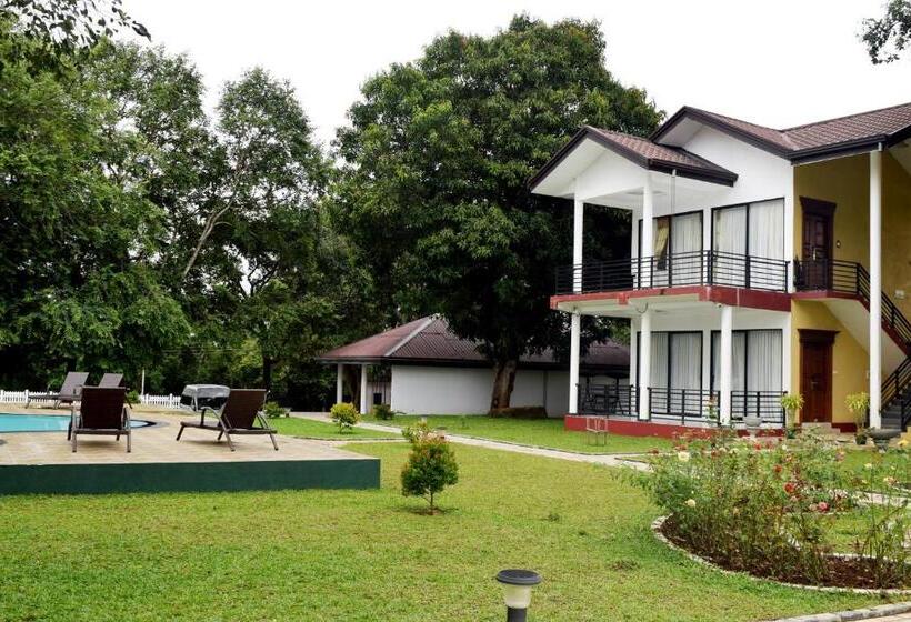 프레지덴셜 스위트, The Lion Kingdom Sigiriya