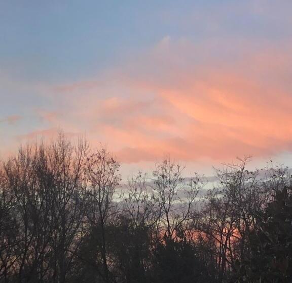 Pokój Standard z Tarasem, Zen Garden