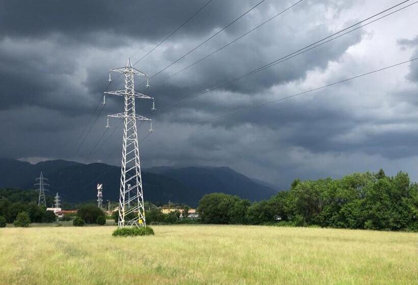 Pokój Standard z Tarasem, Zen Garden