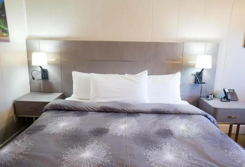 スタンダードルーム, Stay Express Inn Chattanooga