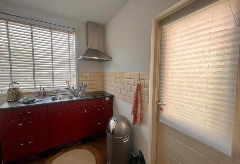 Студия Стандарт, Hippocampus Aan Zee