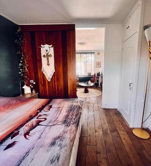 Студия Стандарт, Hippocampus Aan Zee