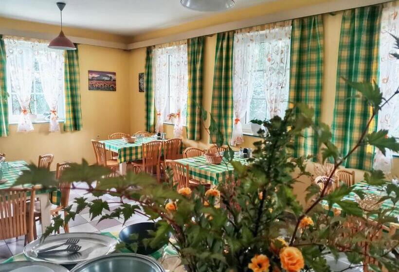 סוויטה דלוקס, Penzion Pastviny