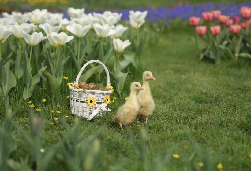 家庭小型套房, Rowrah Hall