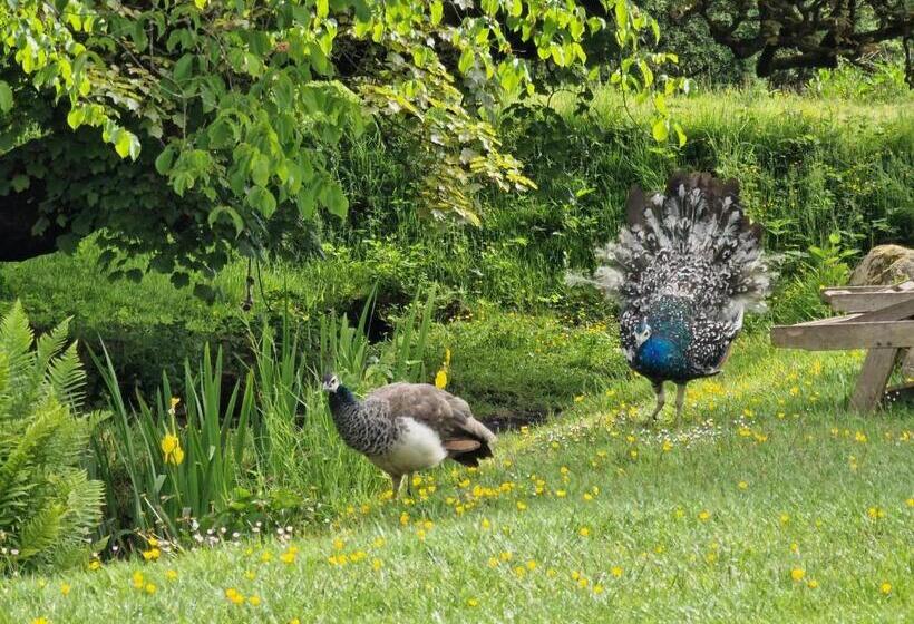 家庭小型套房, Rowrah Hall