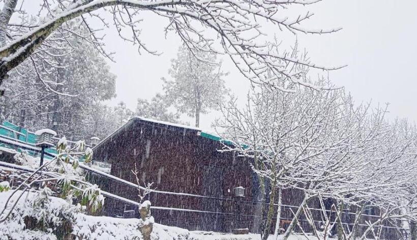 חדר דלוקס, Orchard Hill Retreat