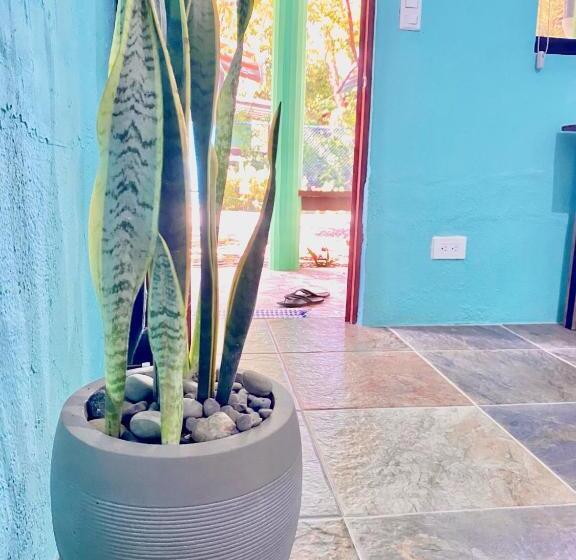 اتاق استاندارد, Boutique Rooms At La Junta