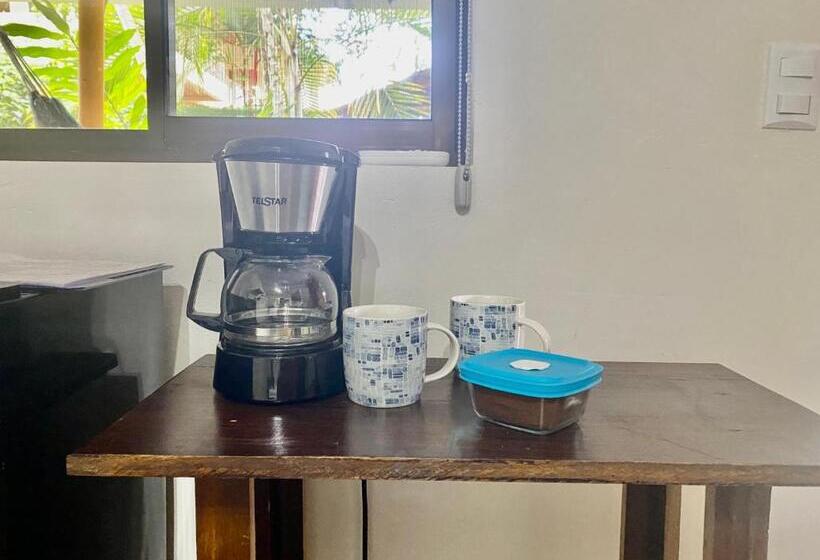 اتاق استاندارد, Boutique Rooms At La Junta