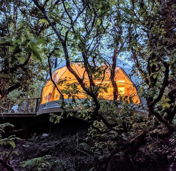 Appartamento Deluxe 1 Camera da Letto, Fernwood