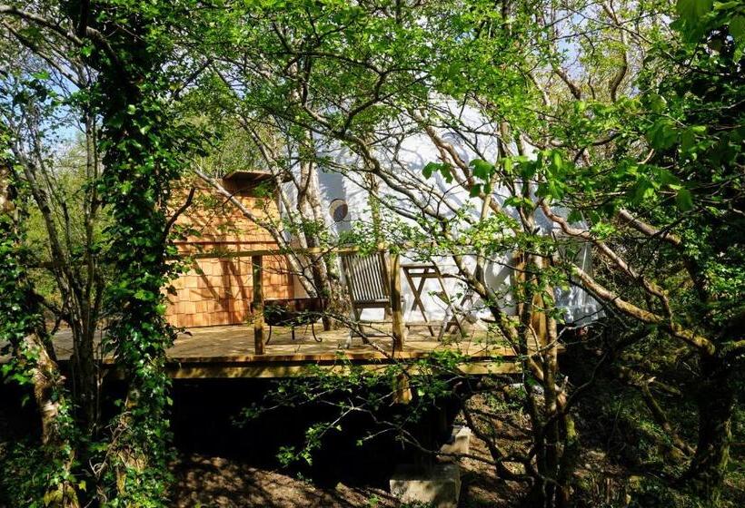 Appartamento Deluxe 1 Camera da Letto, Fernwood