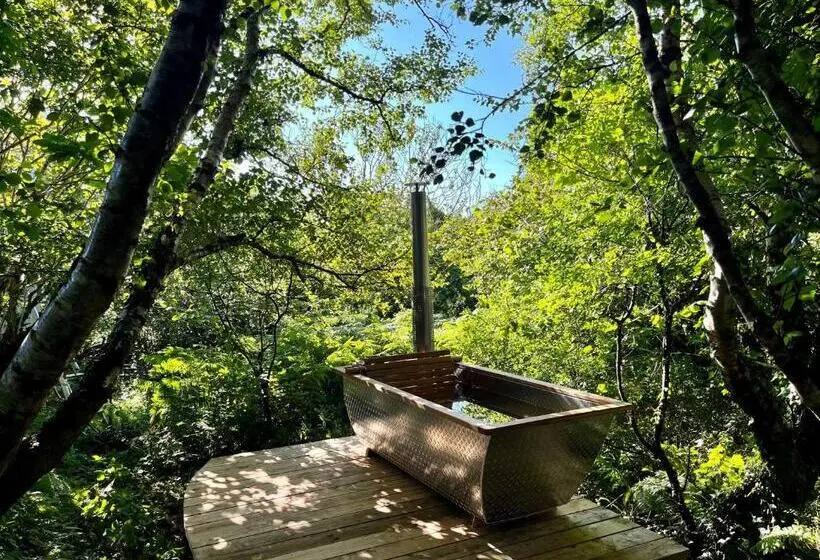 １ベッドルームのスーペリアアパートメント, Fernwood