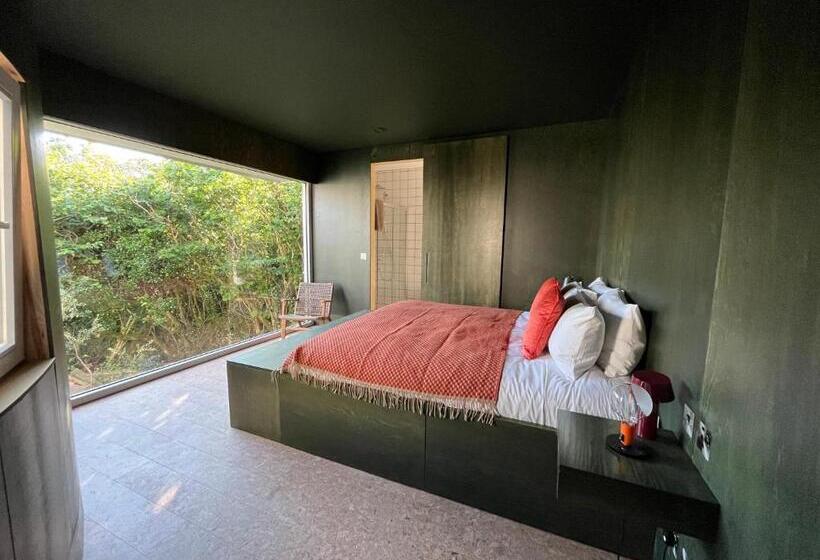 Appartamento Superiore 1 Camera da Letto, Fernwood