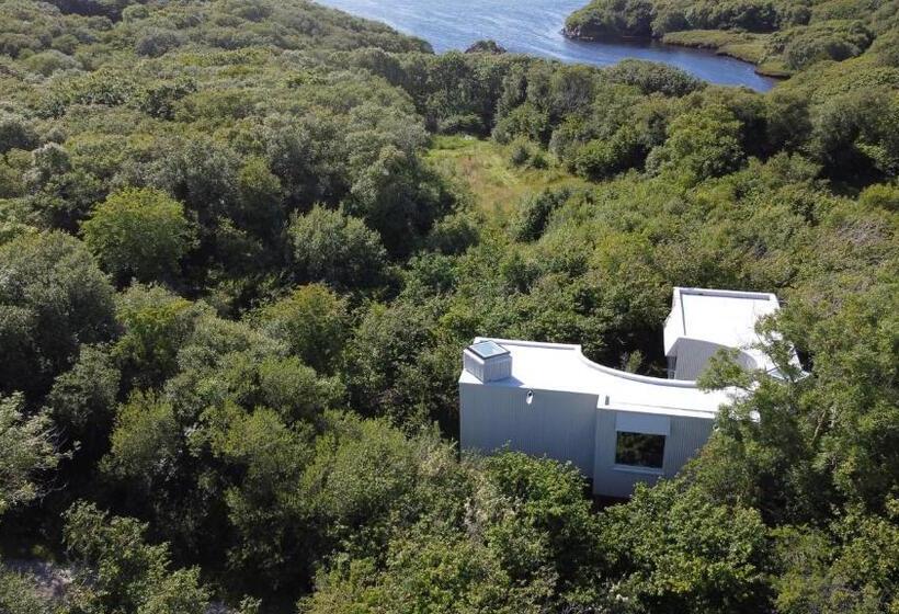 Appartamento Superiore 1 Camera da Letto, Fernwood