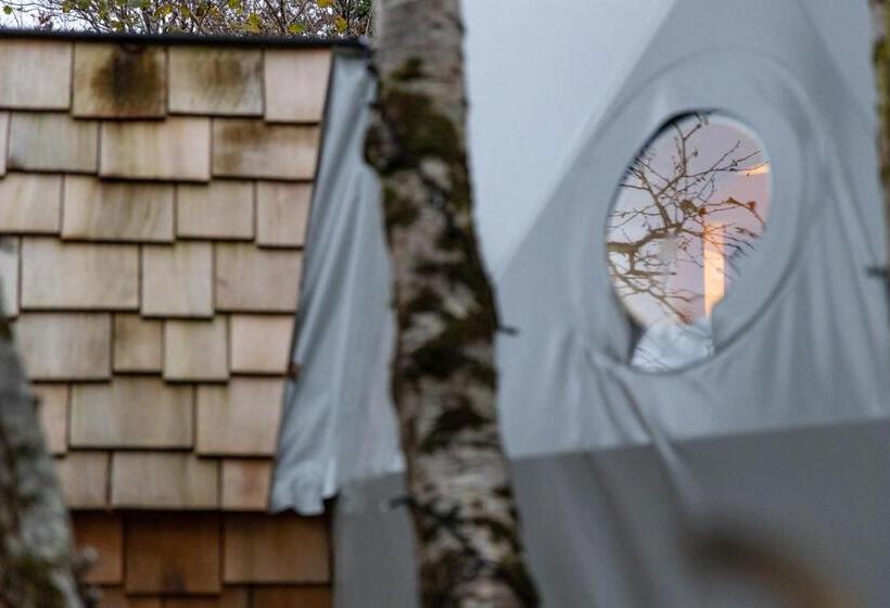 Appartamento Deluxe 1 Camera da Letto, Fernwood