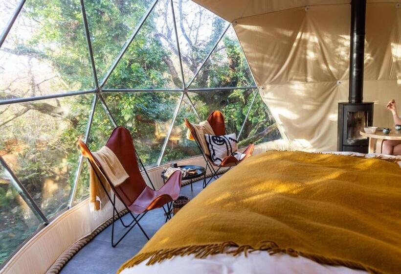 Appartamento Deluxe 1 Camera da Letto, Fernwood