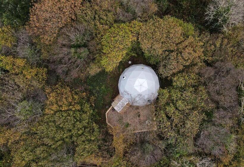 Appartamento Deluxe 1 Camera da Letto, Fernwood