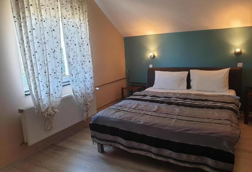 Стандартный Номер Кровать Кинг, Pension Regent Green Leaf