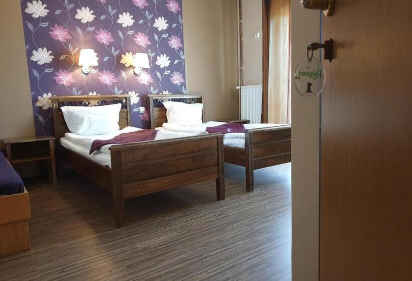 اتاق ساده سه نفره, Pension Regent Green Leaf