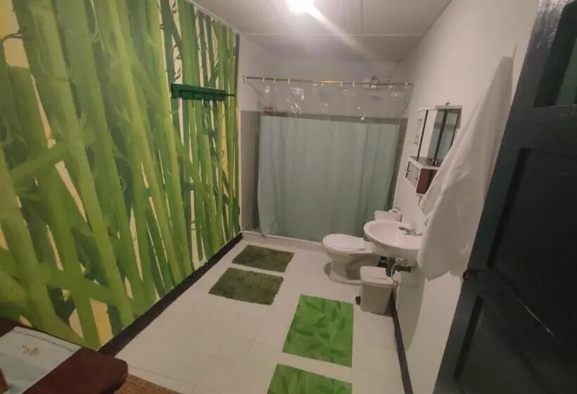 スタンダードシングルルーム, Hostal Donde Jose