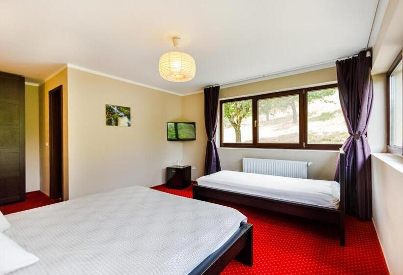 غرفة قياسية ثلاثية, Pensiunea Decebal Resort   Cazanele Dunarii