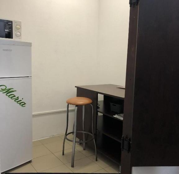 패밀리 스튜디오, Pensiunea Maria Sibiu