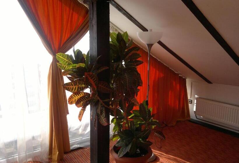 스탠다드 룸, Pensiunea Maria Sibiu