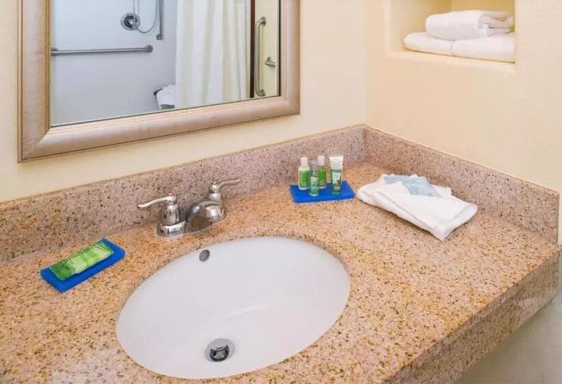 スタンダードルーム, Holiday Inn Express & Suites Alamosa, An Ihg