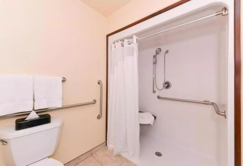 身障者適用スタンダードルーム, Holiday Inn Express & Suites Alamosa, An Ihg