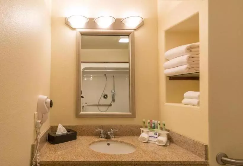 身障者適用スタンダードルーム, Holiday Inn Express & Suites Alamosa, An Ihg