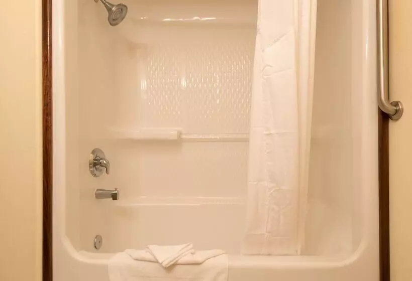 スイート, Holiday Inn Express & Suites Alamosa, An Ihg