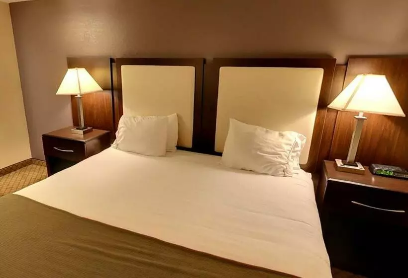 Standard-huone King-vuode, Holiday Inn Express Hotel & Suites Blythewood, An Ihg