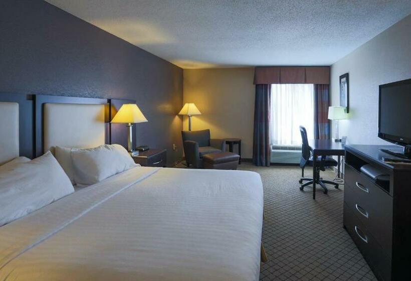 스탠다드 룸 킹사이즈 침대, Holiday Inn Express Hotel & Suites Blythewood, An Ihg