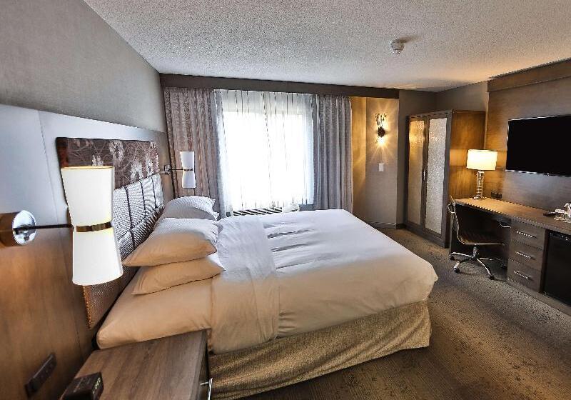 Standard Szoba King Size Bed, Doubletree By Hilton Atlanta  Alpharetta
