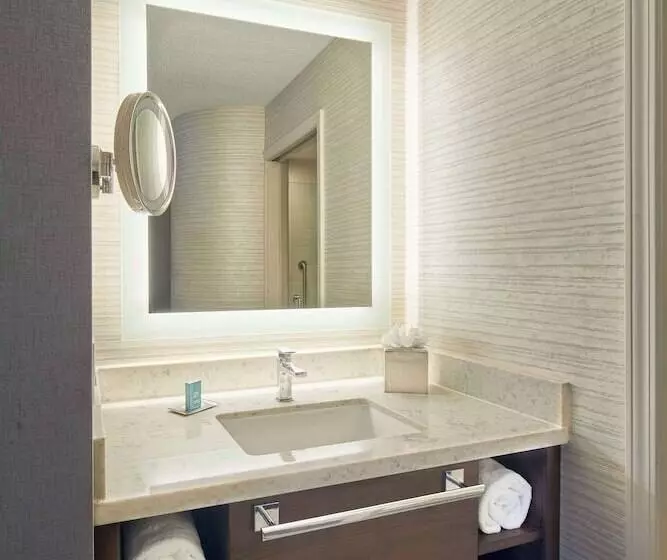 スタンダードルーム, Doubletree By Hilton Atlanta  Alpharetta