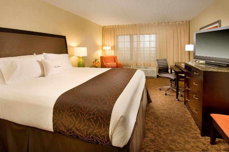 이그제큐티브 룸 킹사이즈 침대, Doubletree By Hilton  Sterling  Dulles Airport